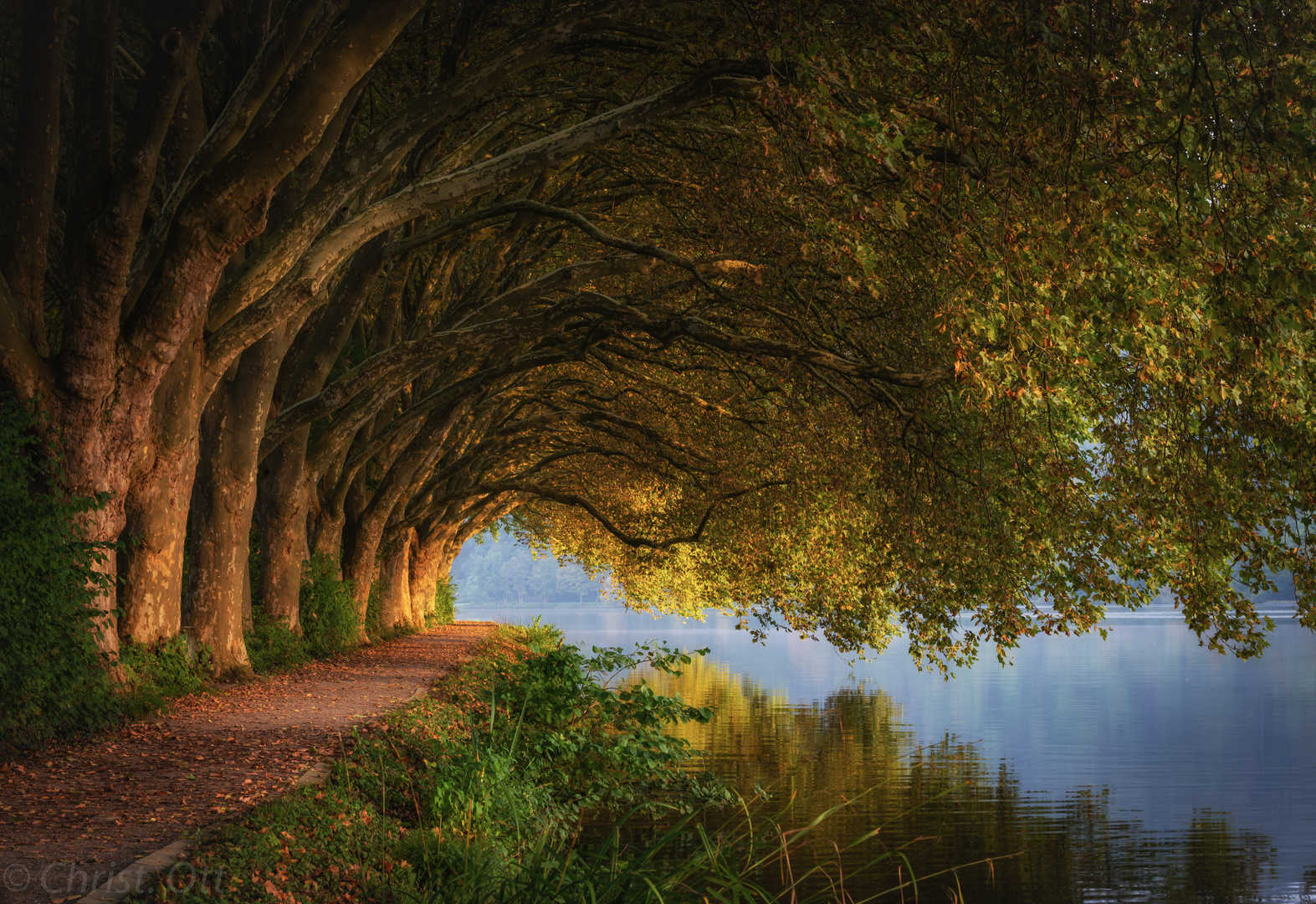 Morgens am See