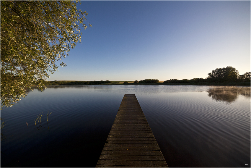 Morgens am See