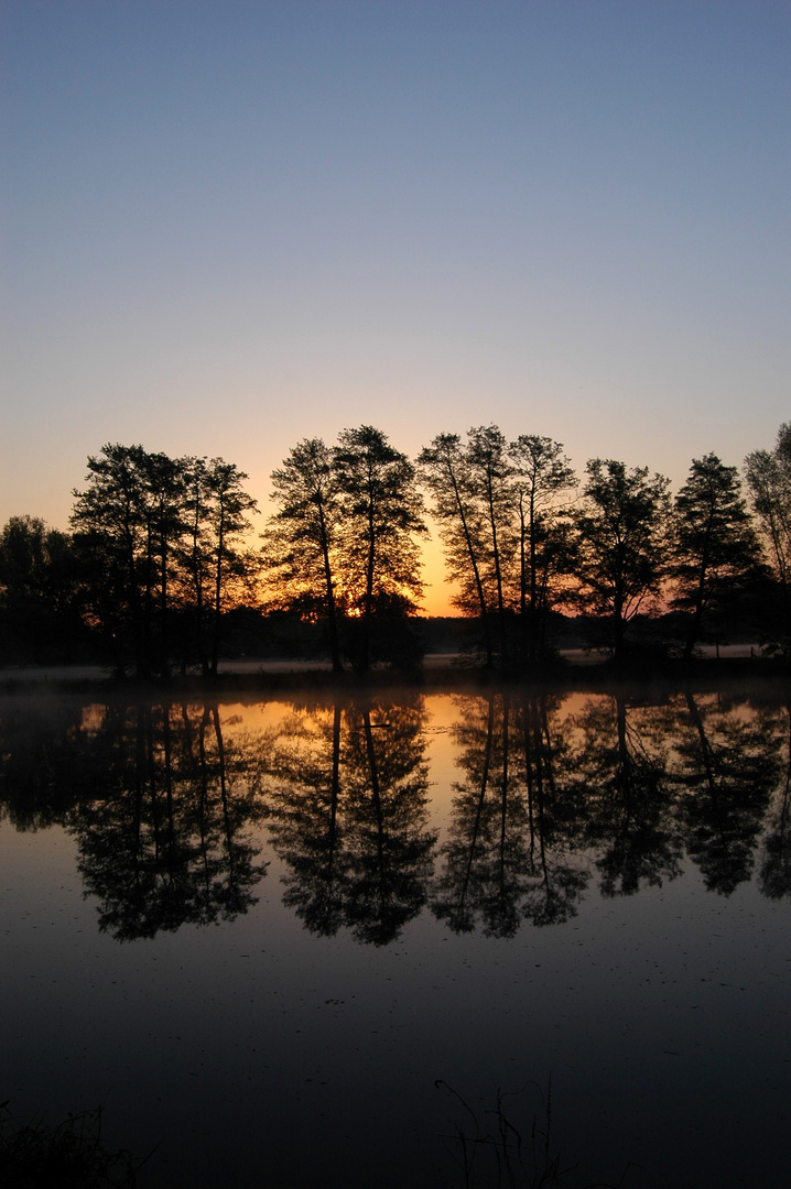 Morgens am See