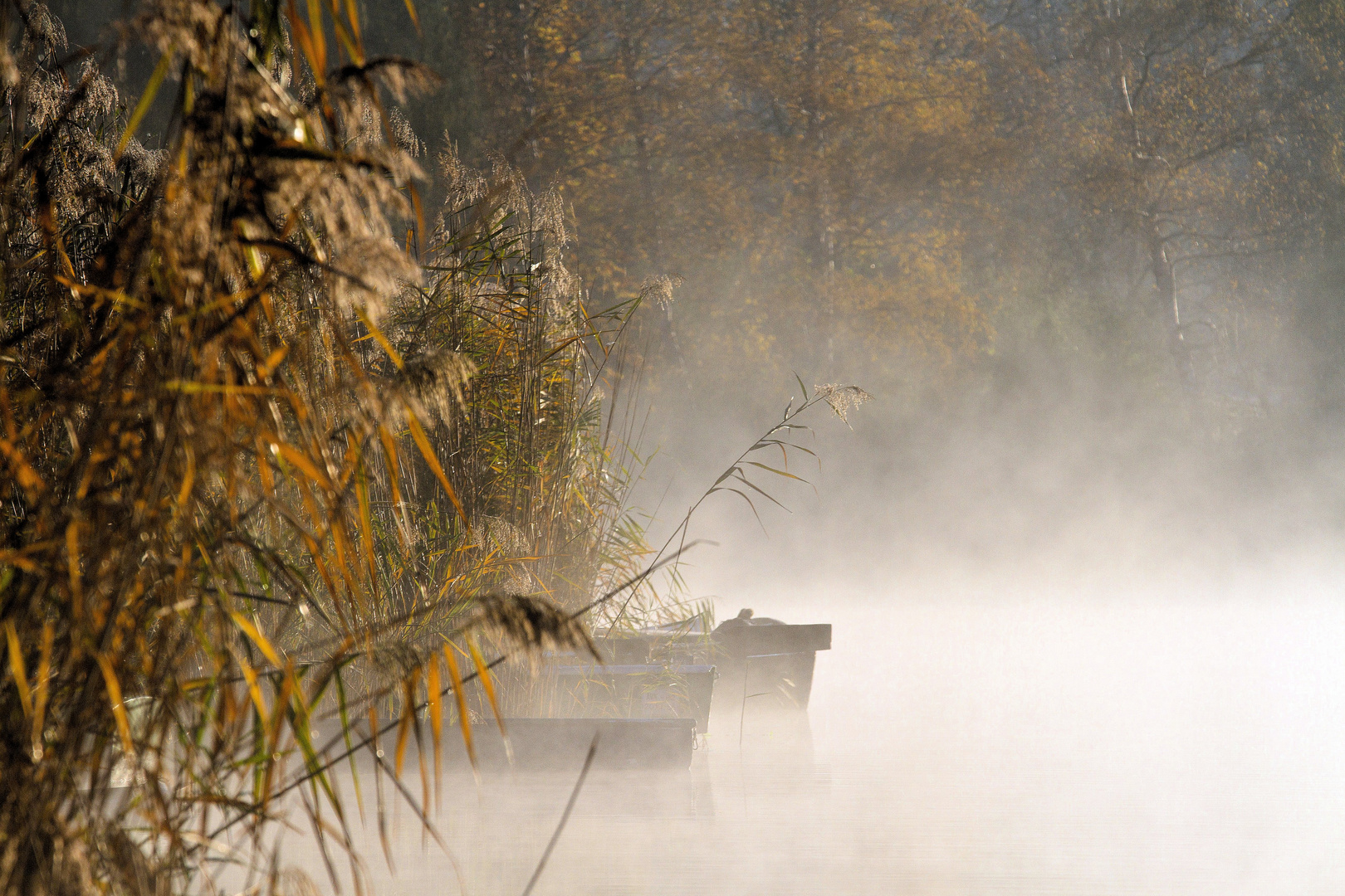 morgens am See