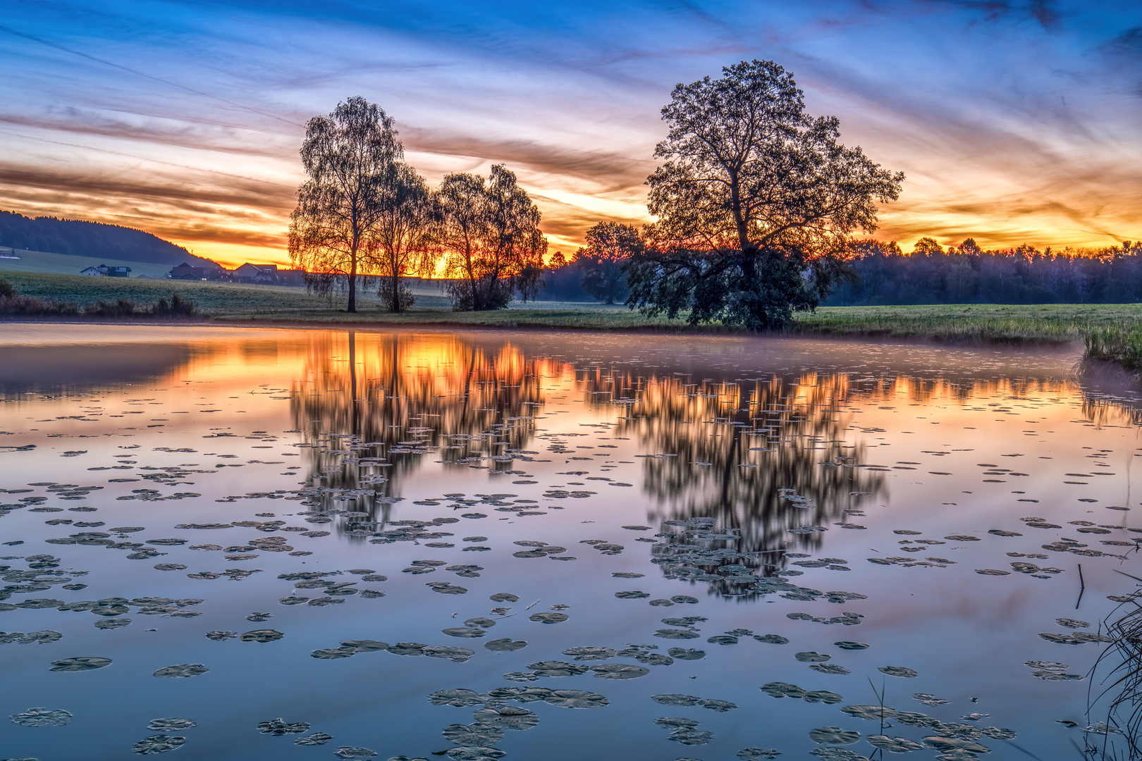 Morgens am See