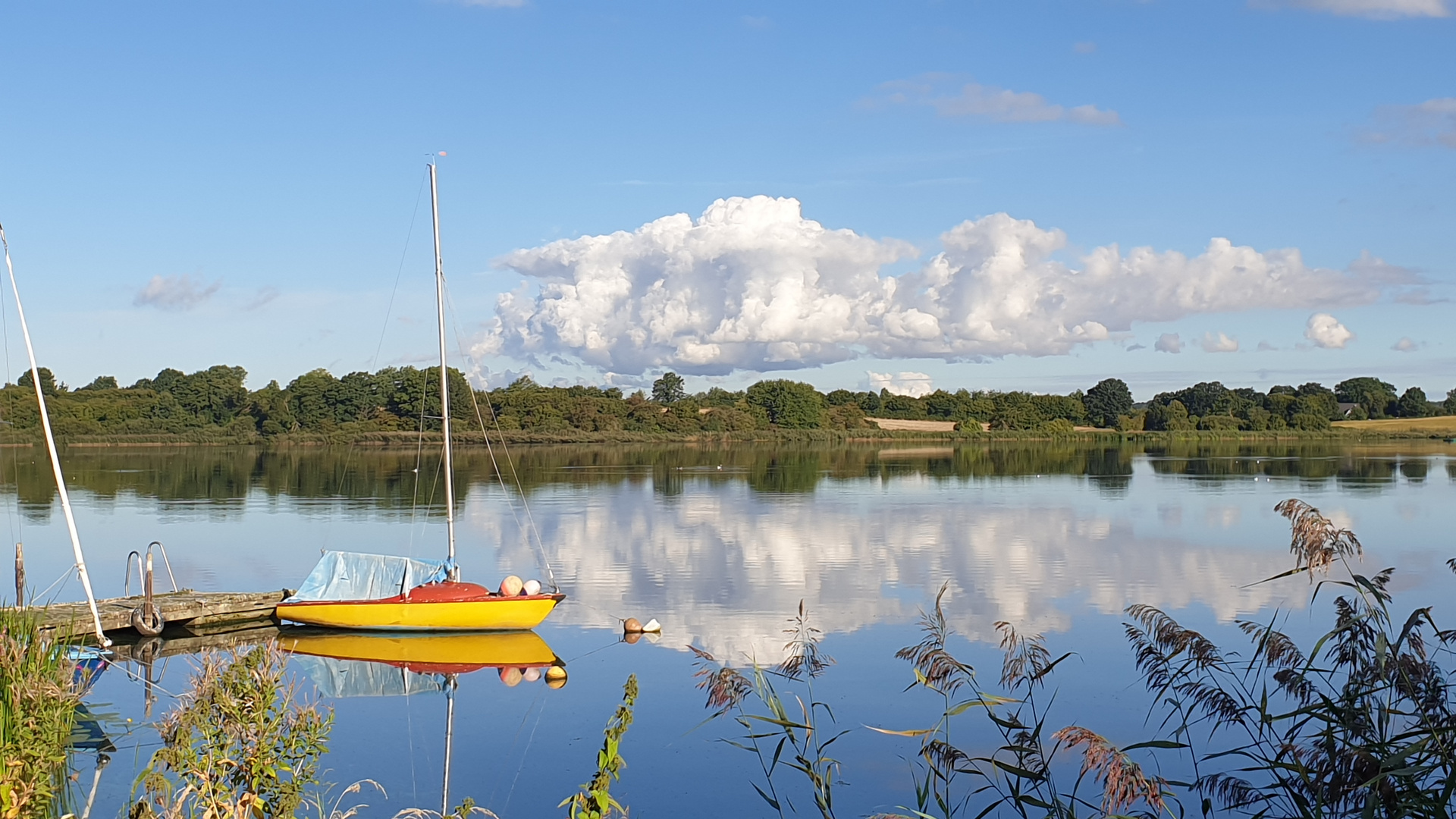 Morgens am See