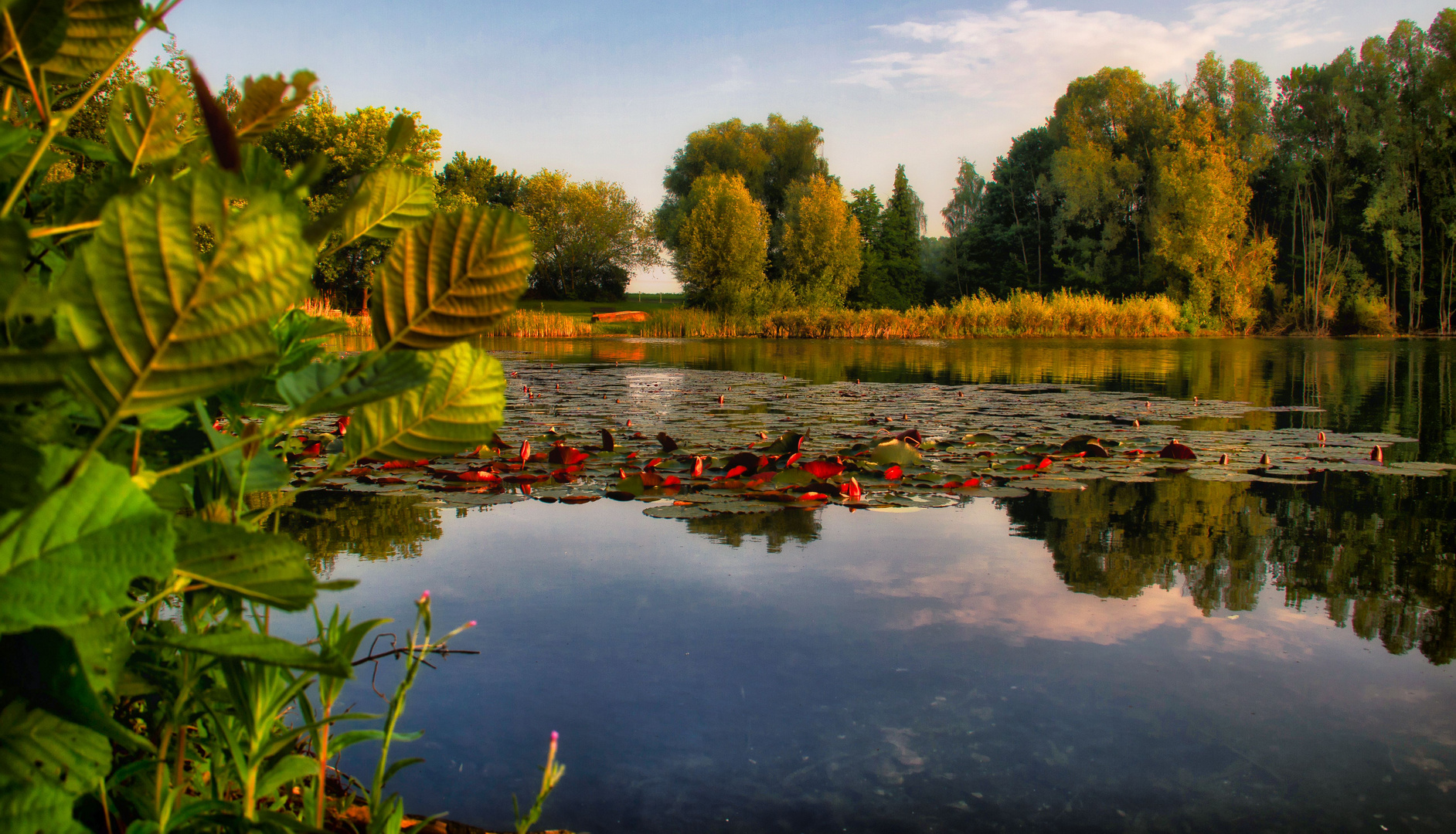 Morgens am See