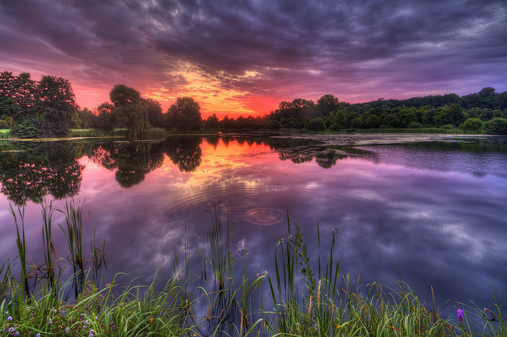 Morgens am See