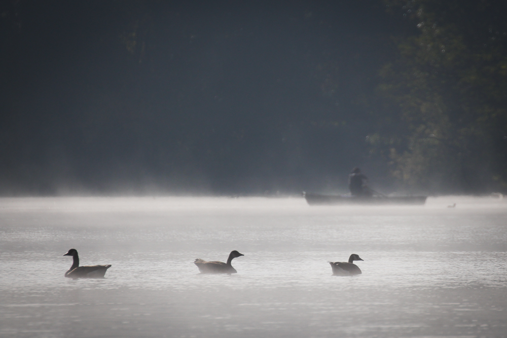 Morgens am See