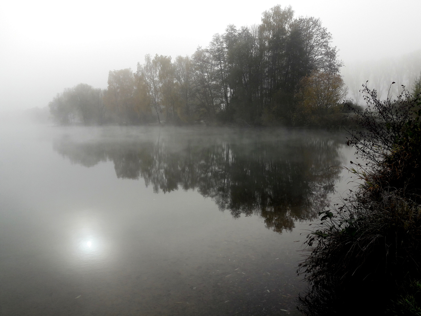 Morgens am See