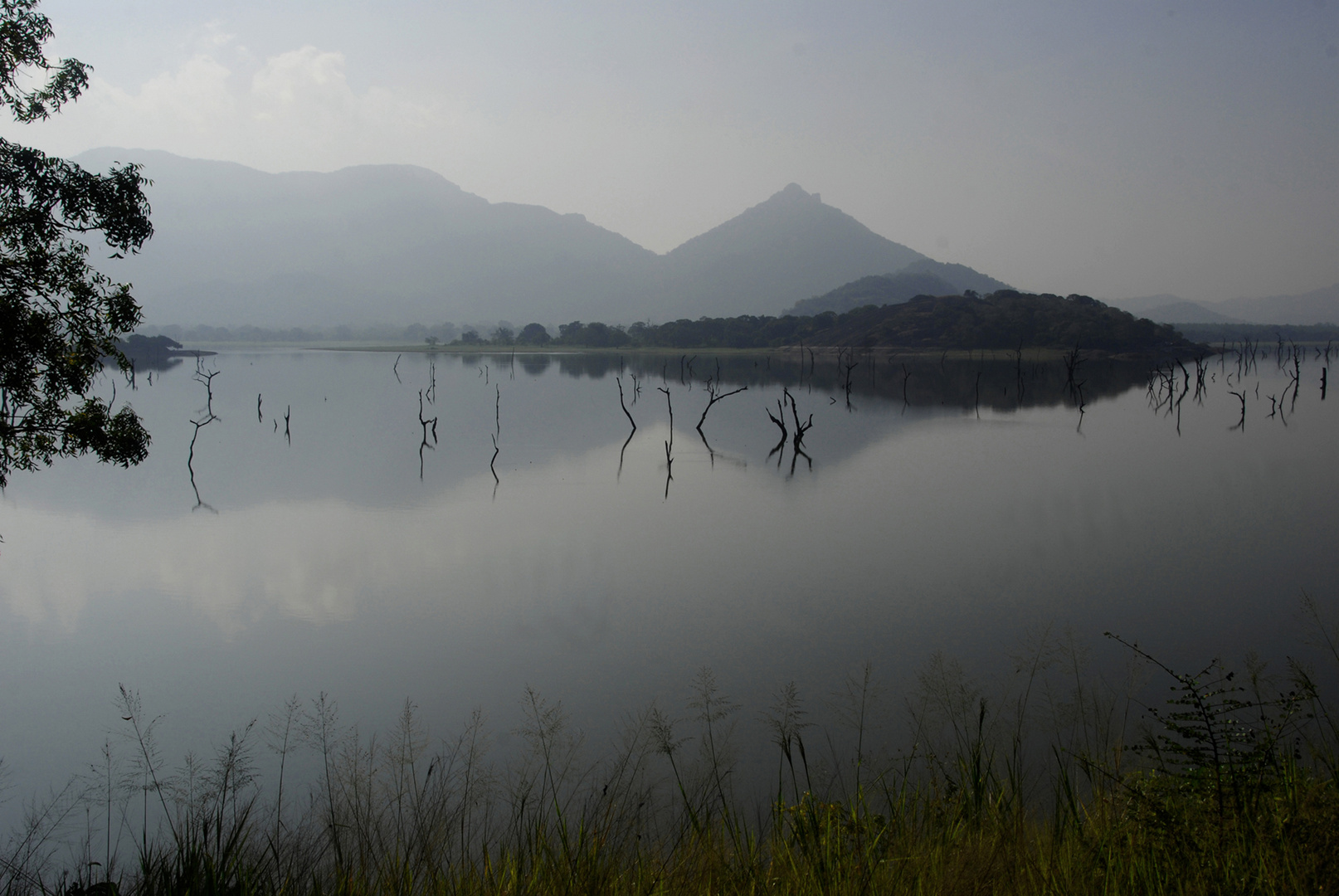 Morgens am See