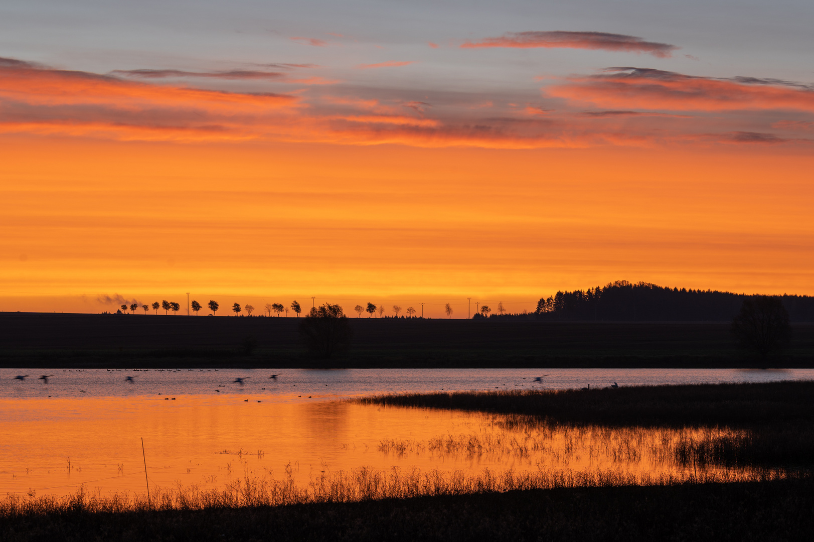 Morgens am See