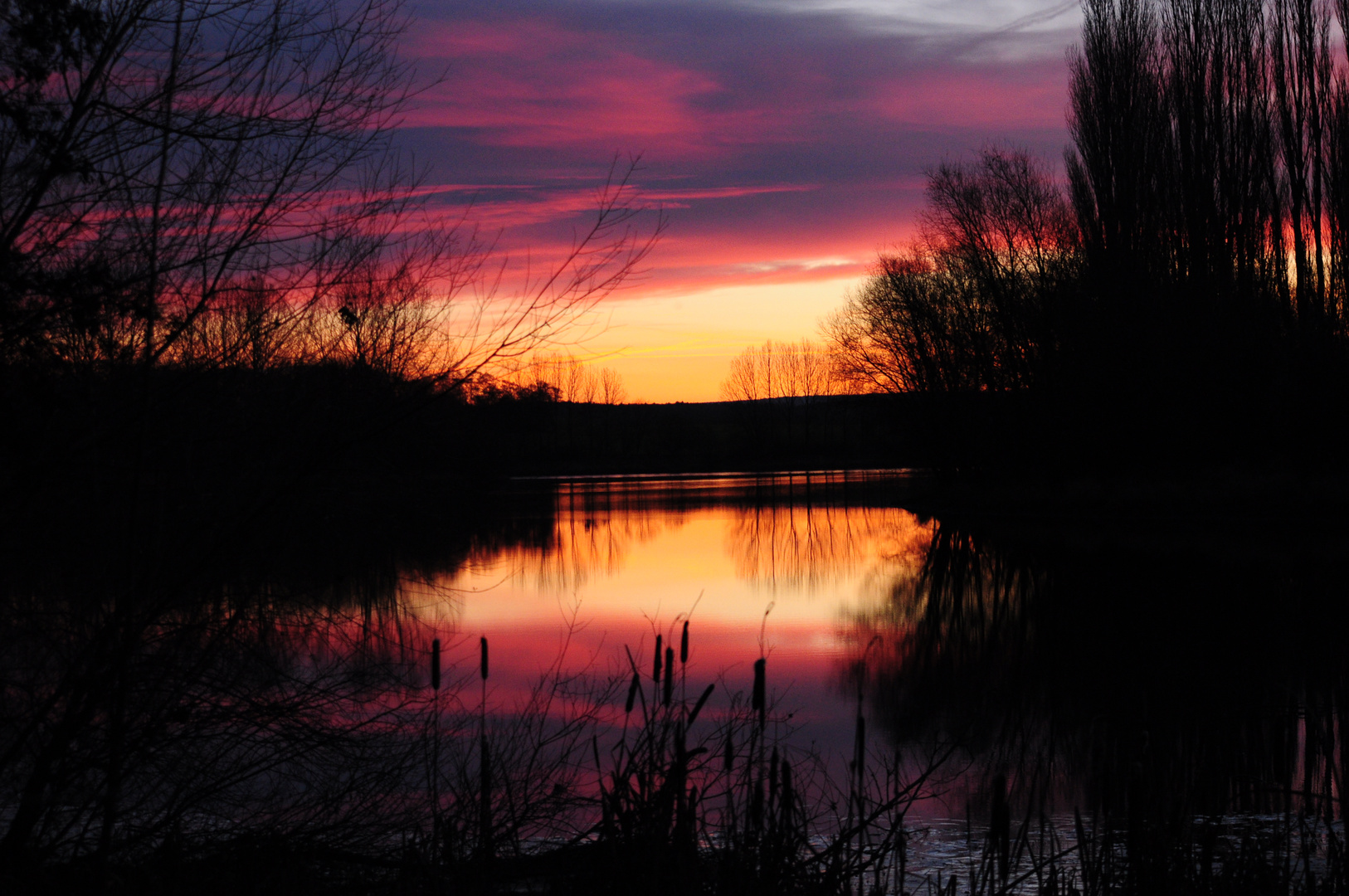 Morgens am See