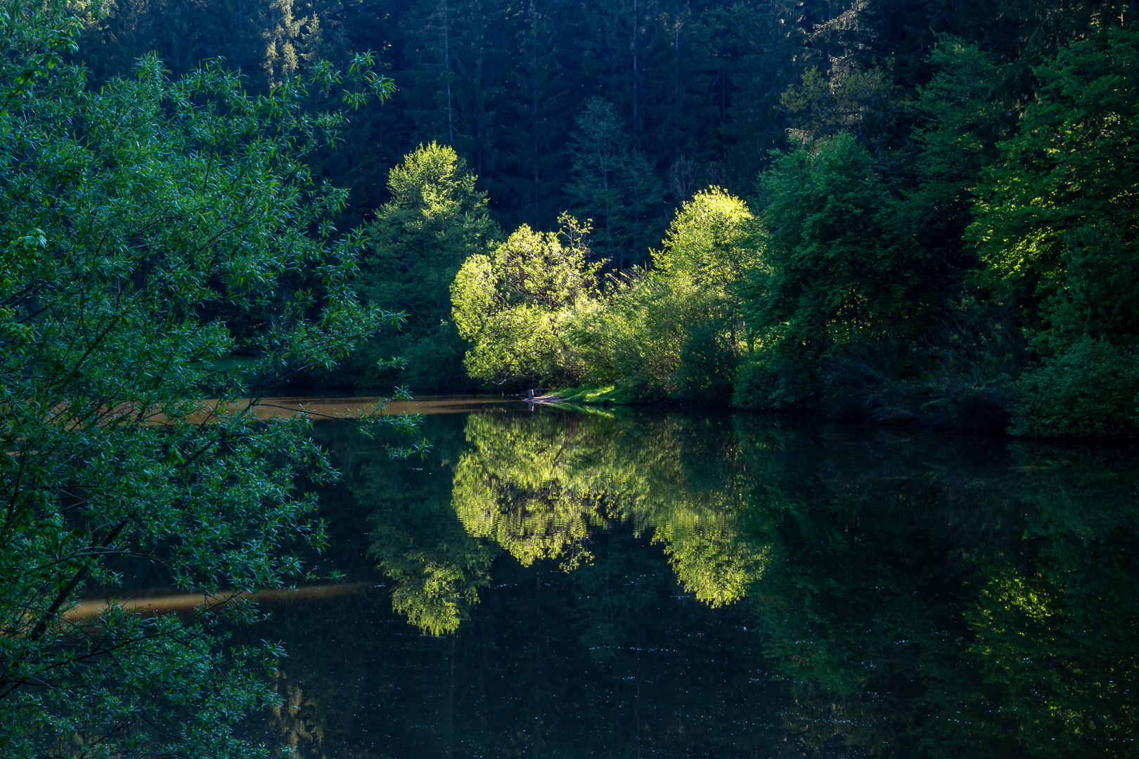 Morgens am See