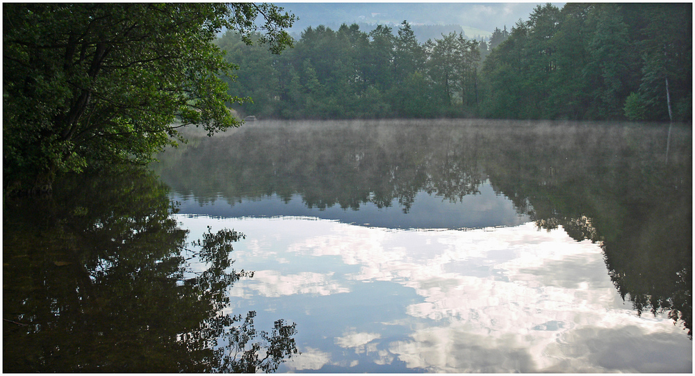 Morgens am See