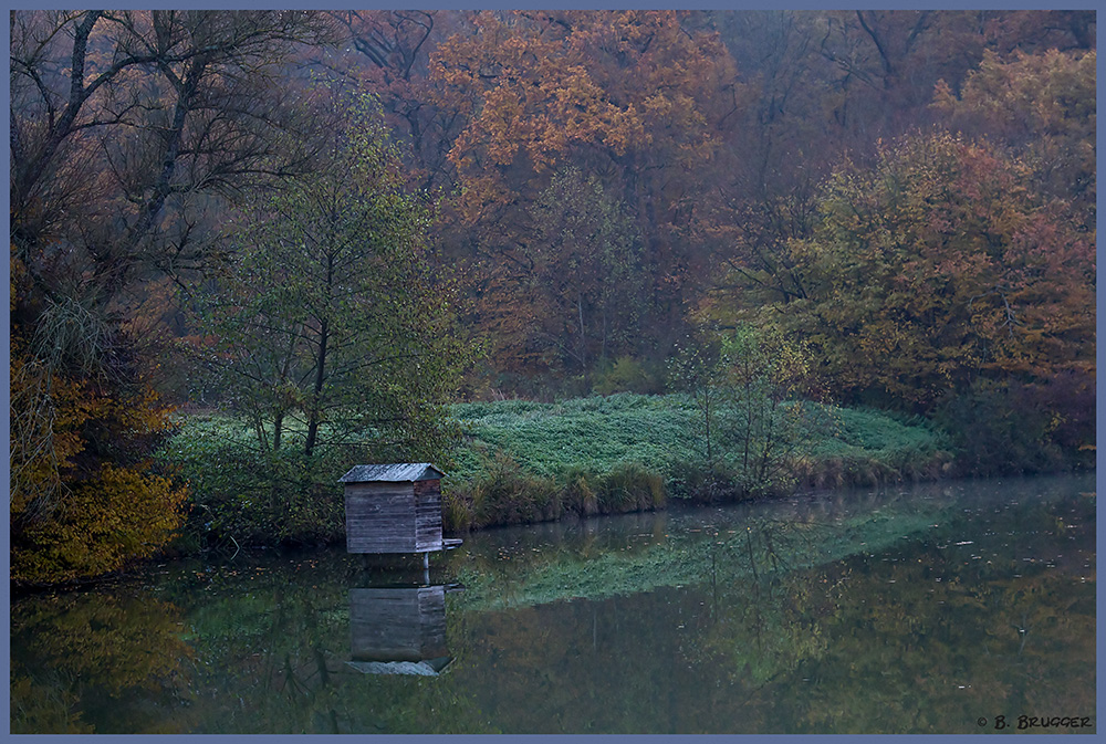 Morgens am See