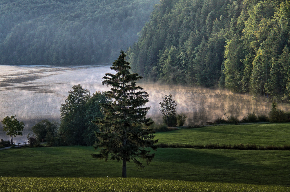 Morgens am See