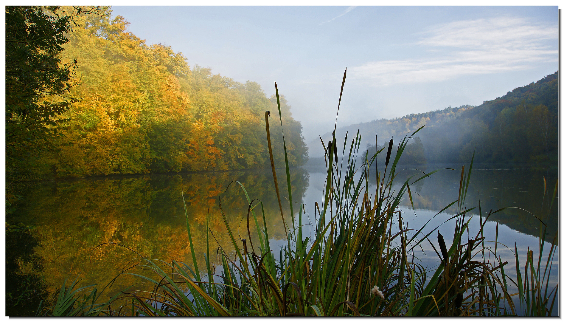 Morgens am See...