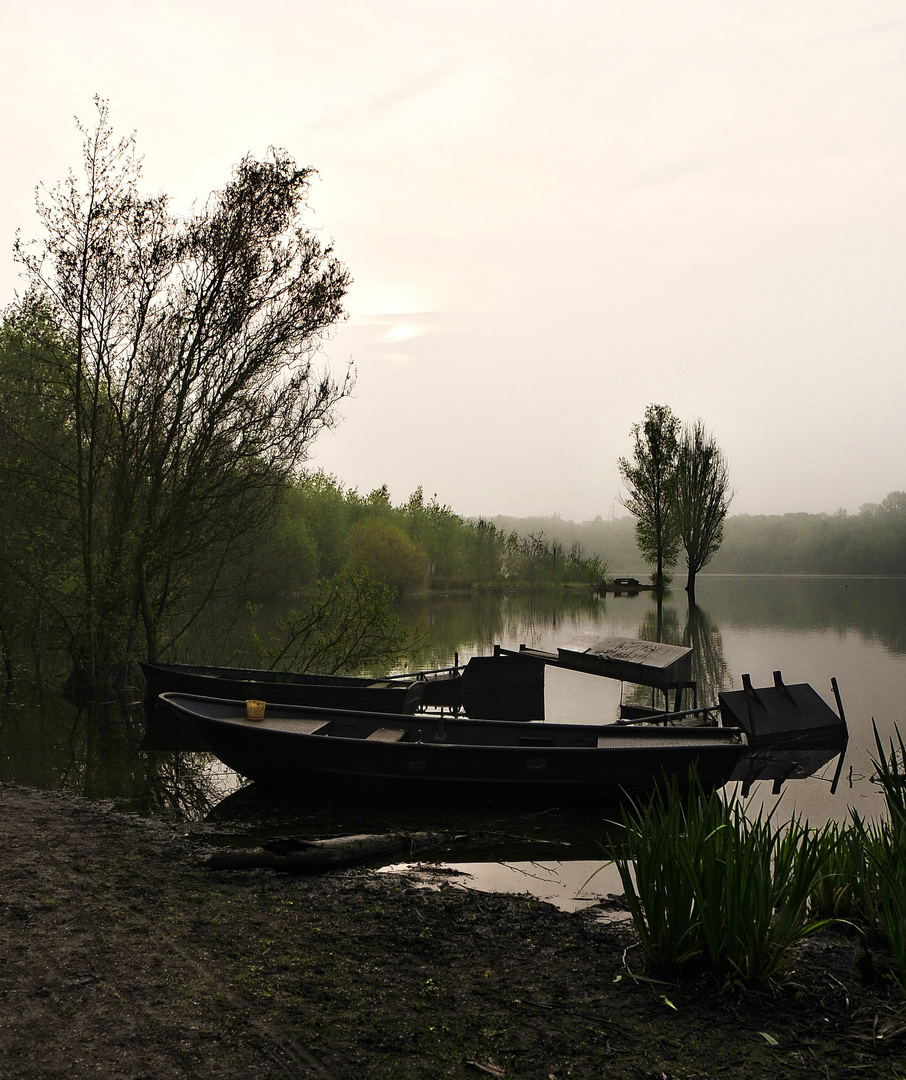 morgens am see