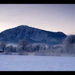 Morgens am See