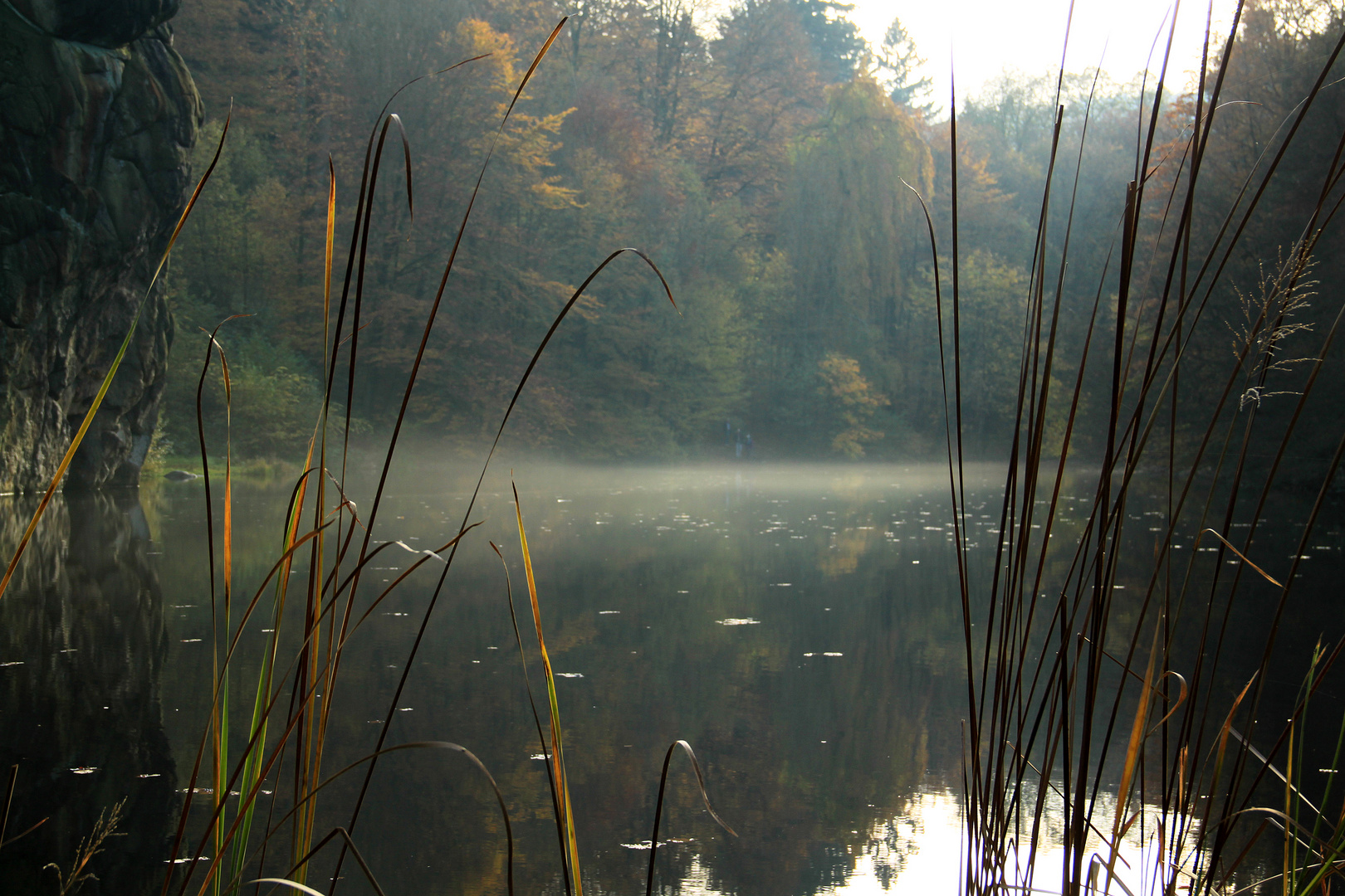 Morgens am See.....