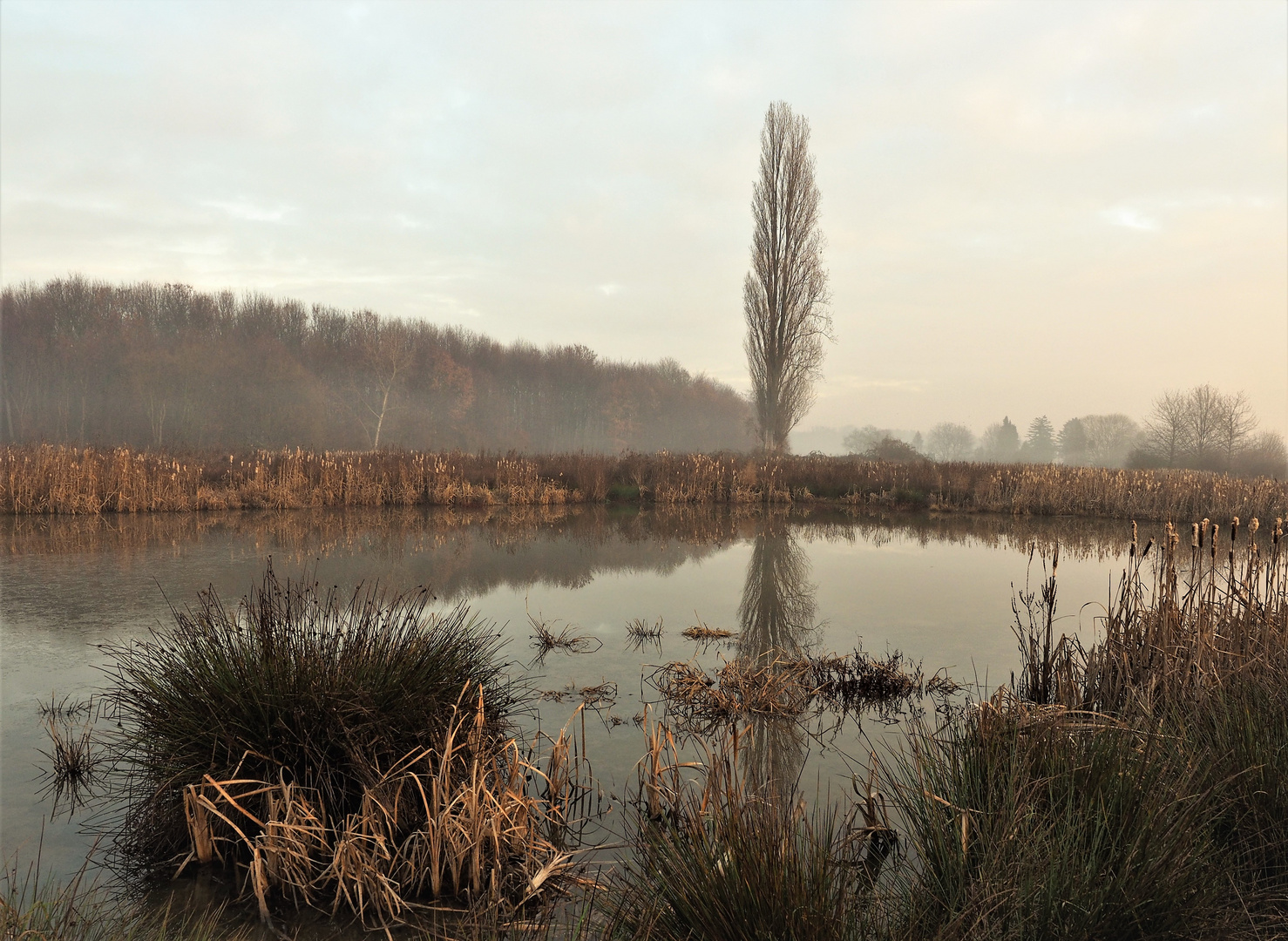 Morgens am See 