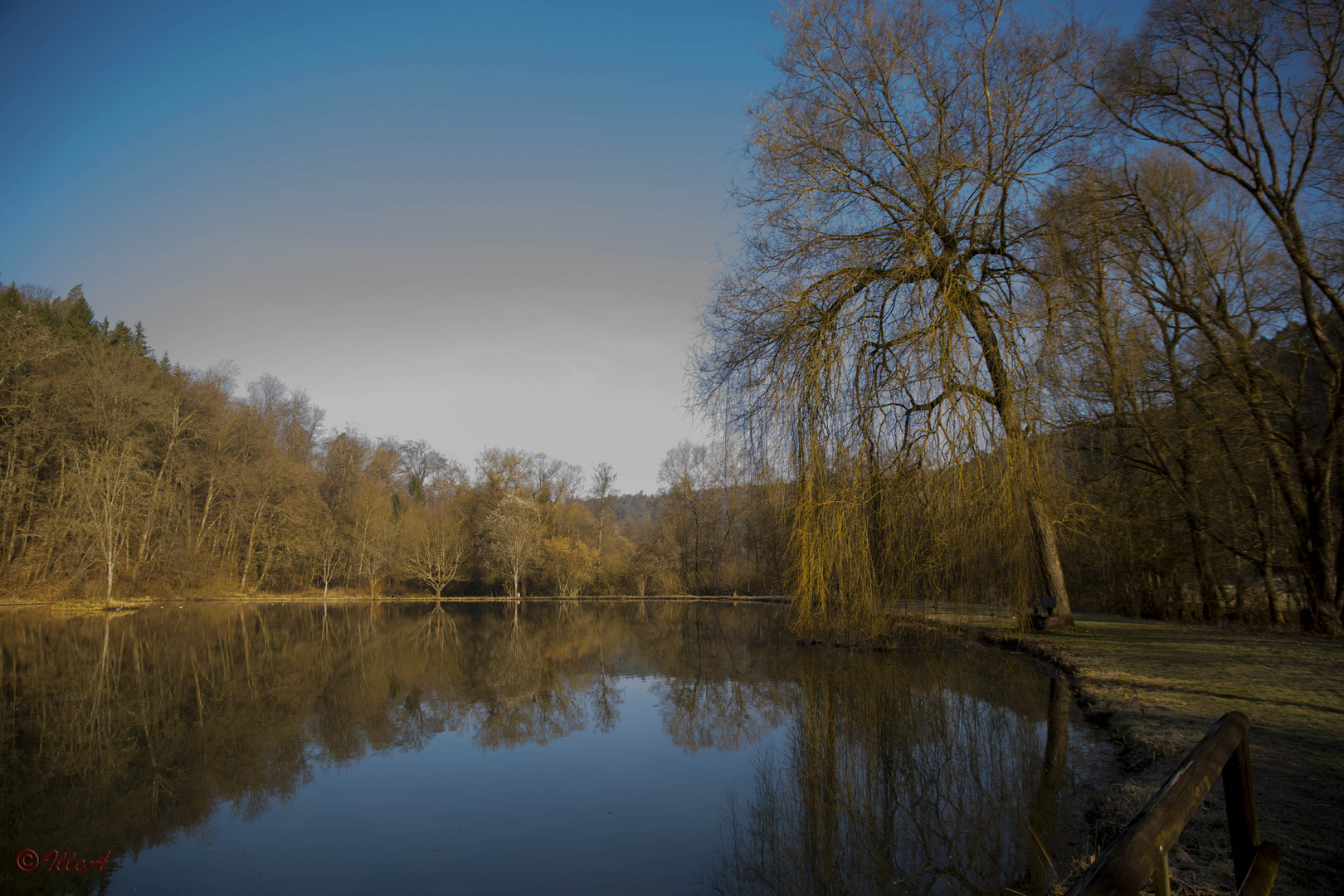 morgens am See