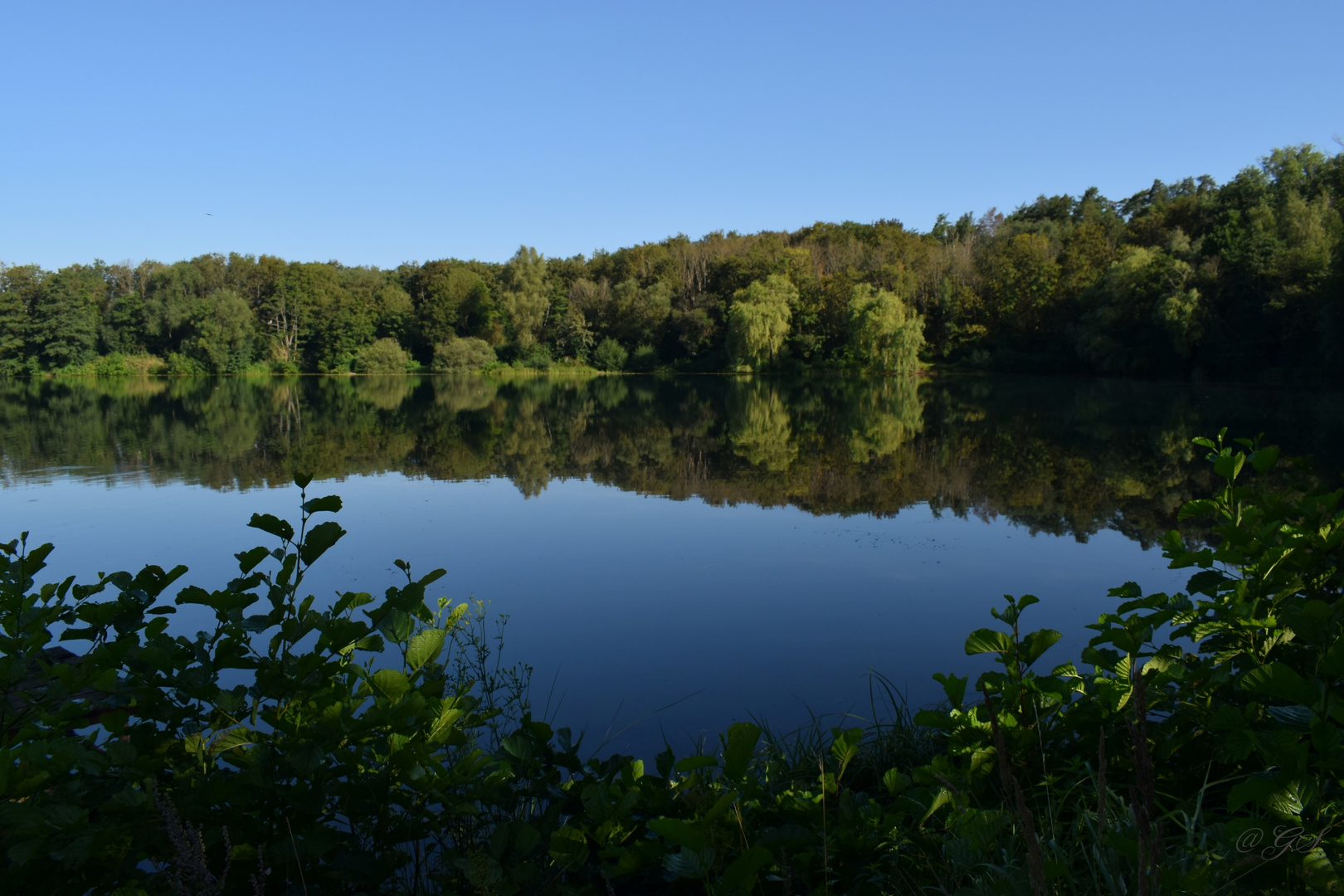 Morgens am See