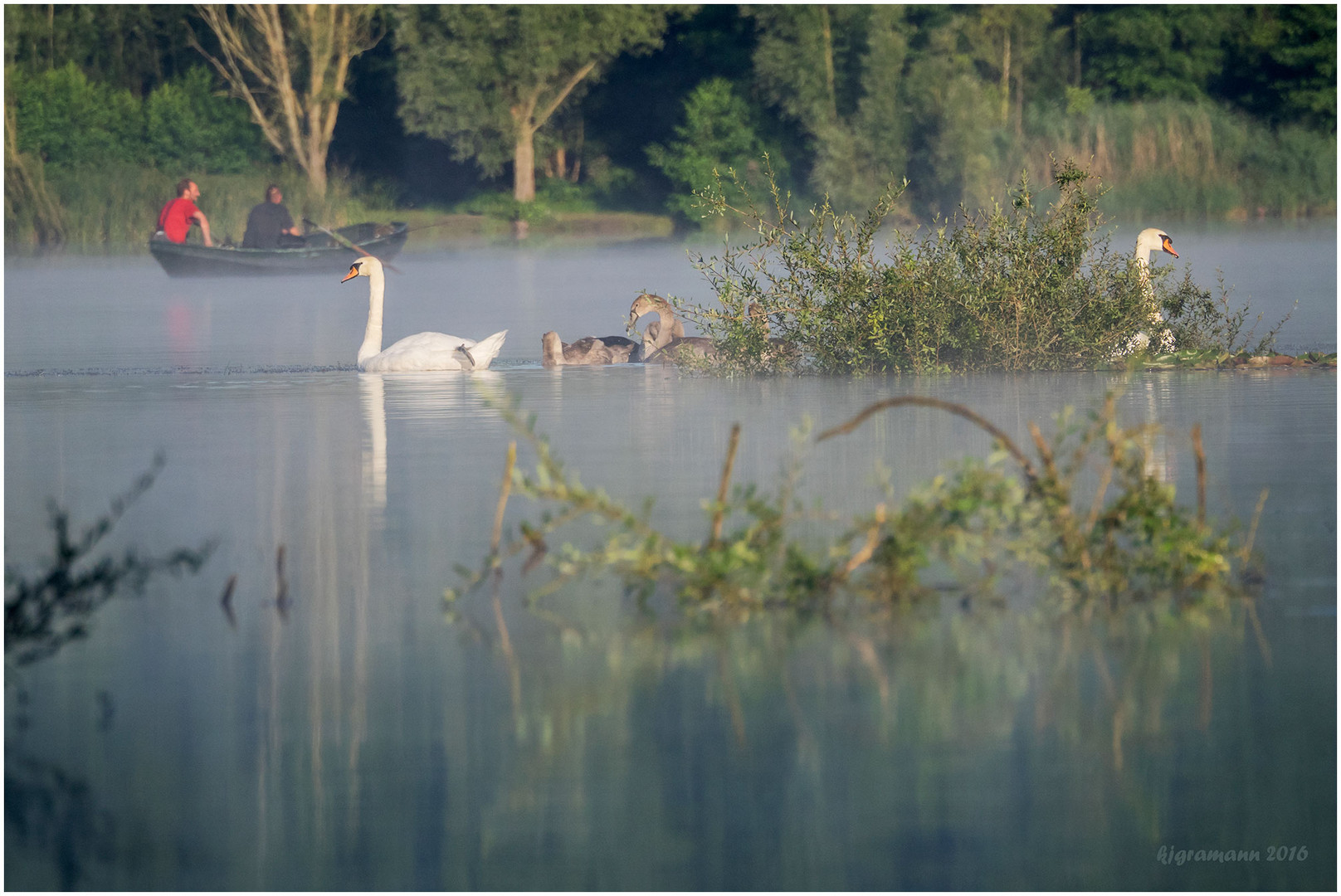 morgens am see......