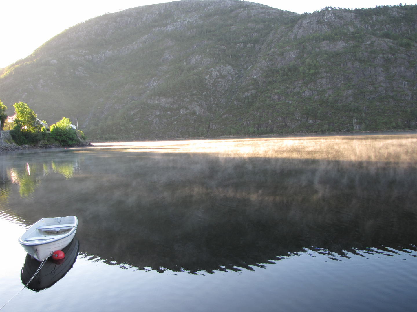 Morgens am See