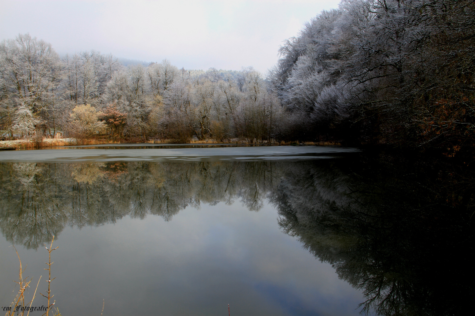 Morgens am See