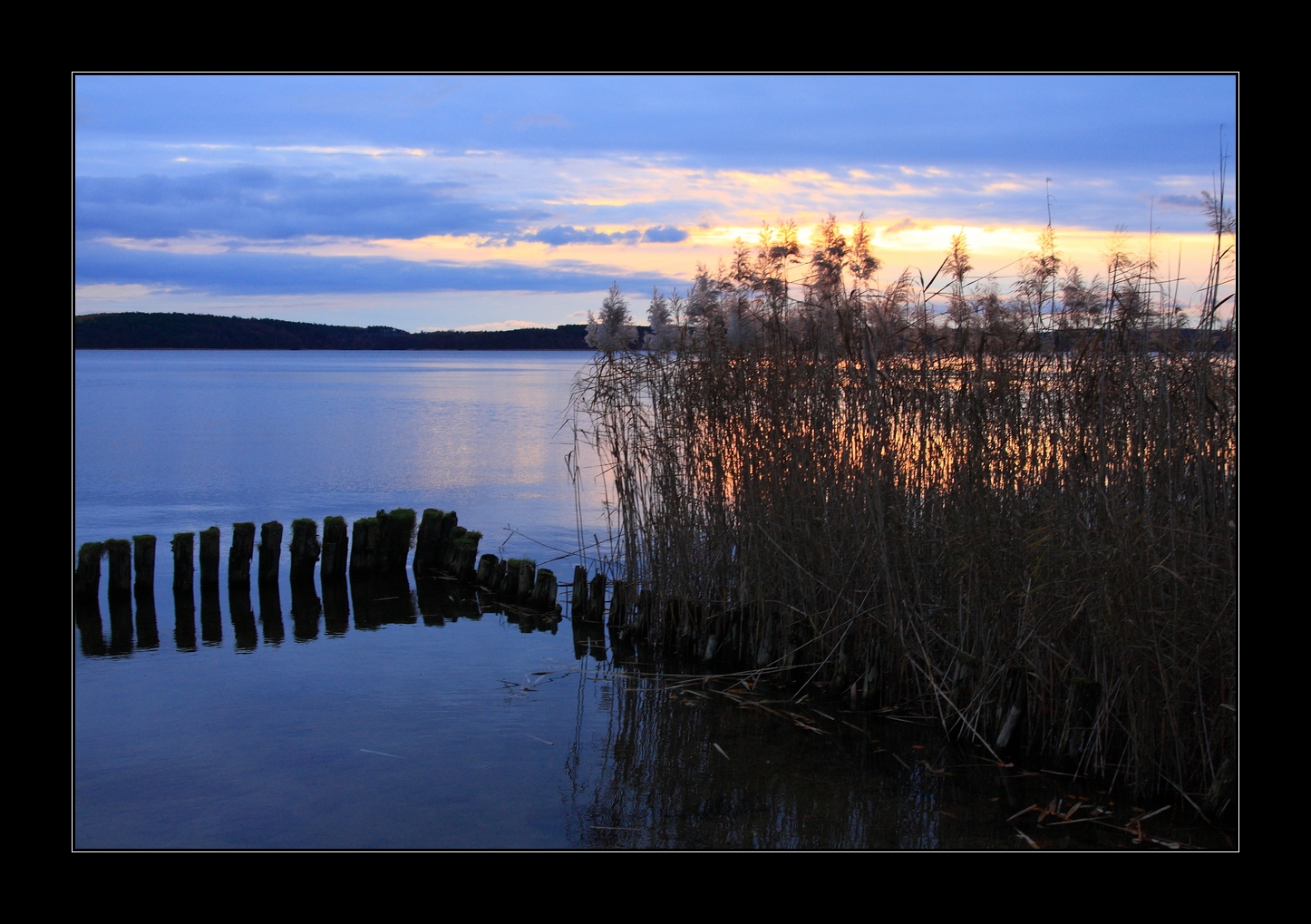 Morgens am See