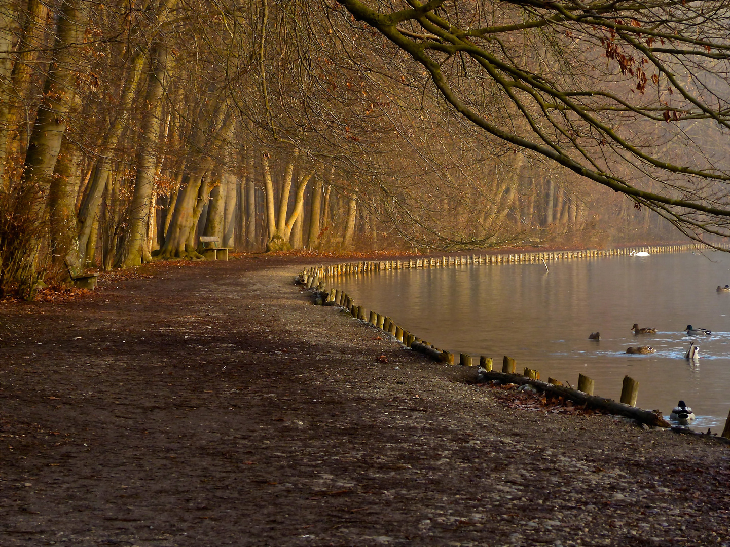 morgens am See