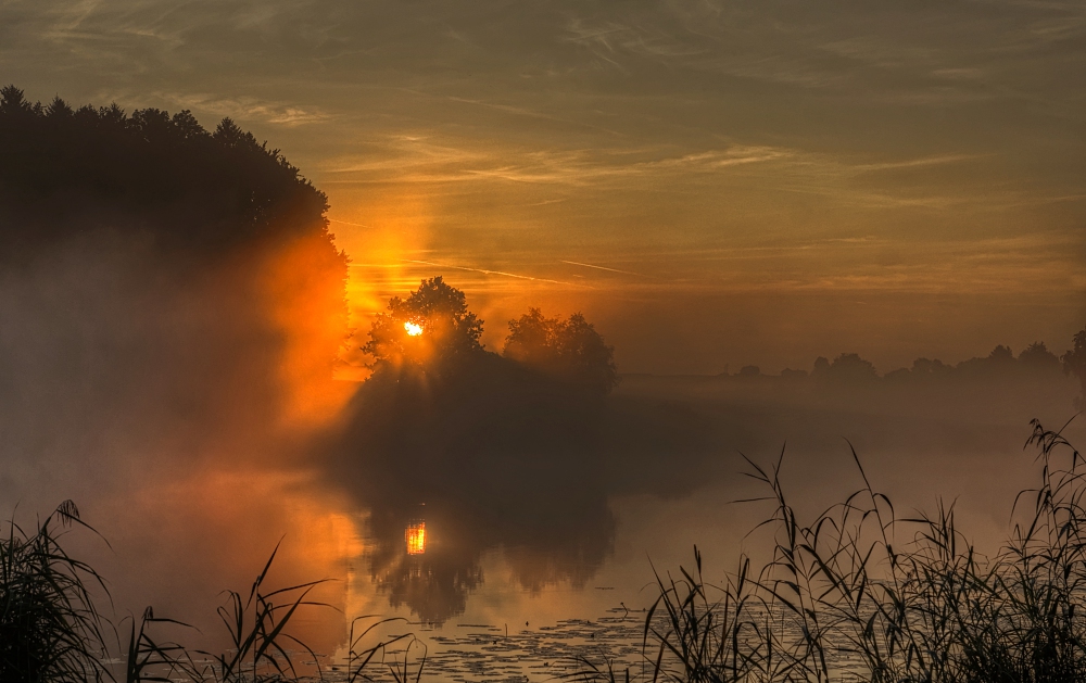 Morgens am See