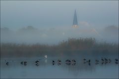 Morgens am See