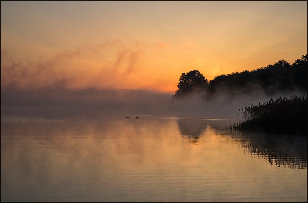 Morgens am See...