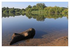 Morgens am See