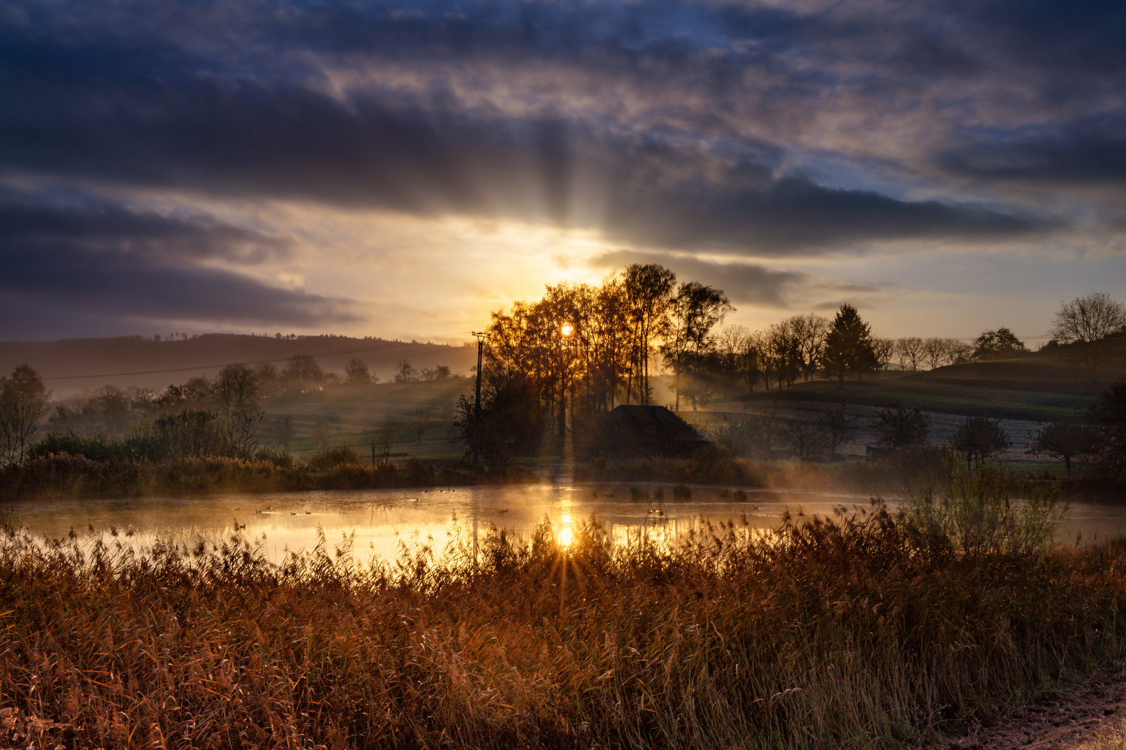 Morgens am See