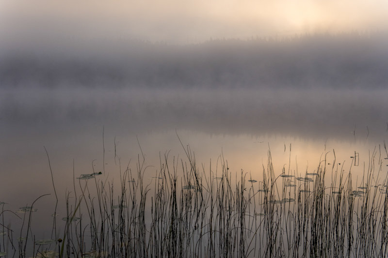 morgens am See