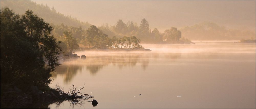 MORGENS AM SEE