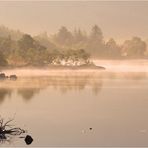 MORGENS AM SEE