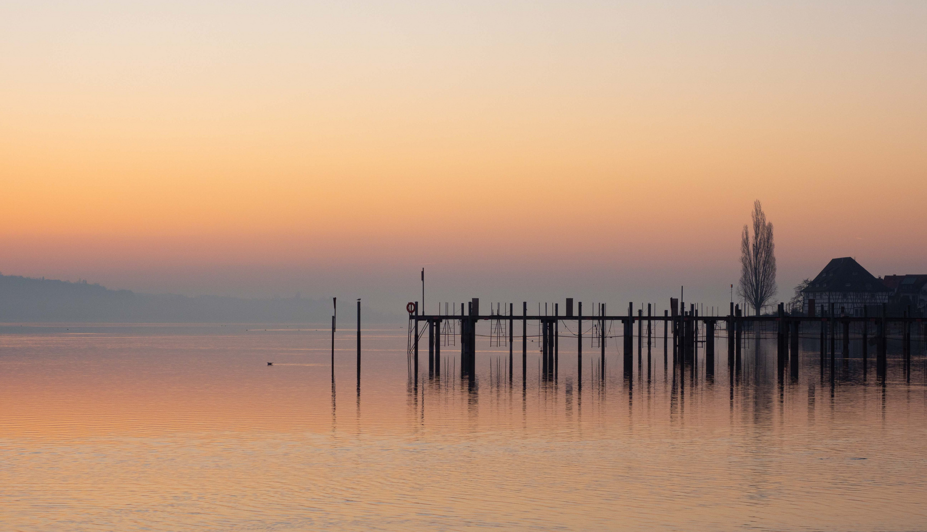 morgens am See