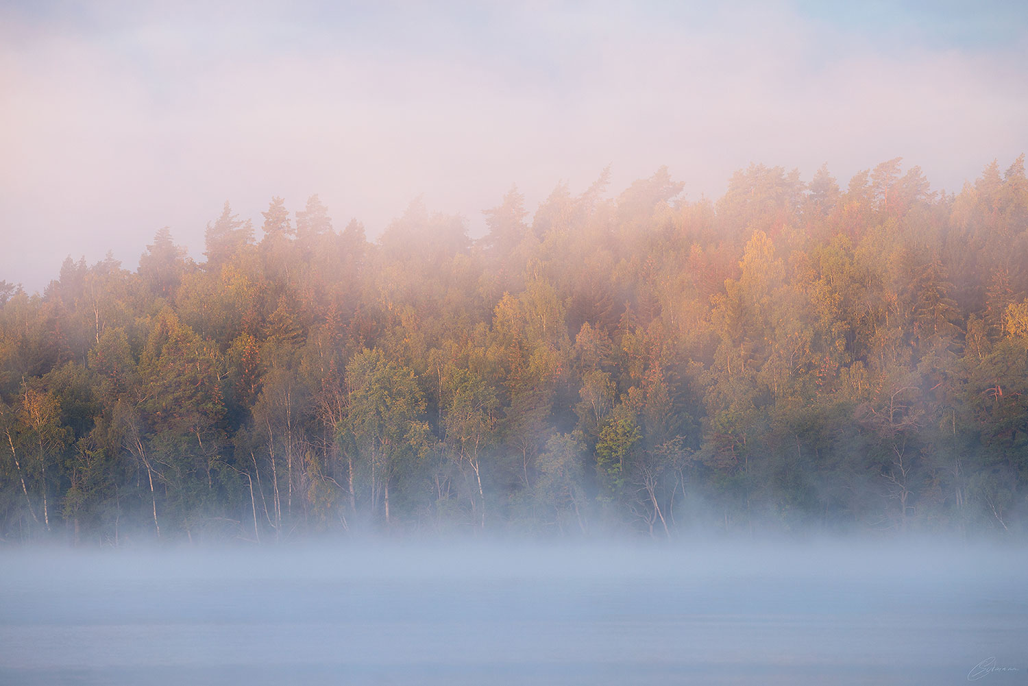 Morgens Am See