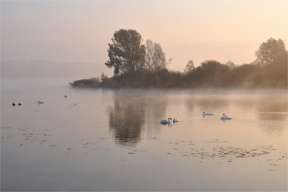 # morgens am SEE