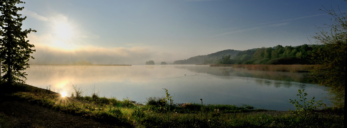 Morgens am See