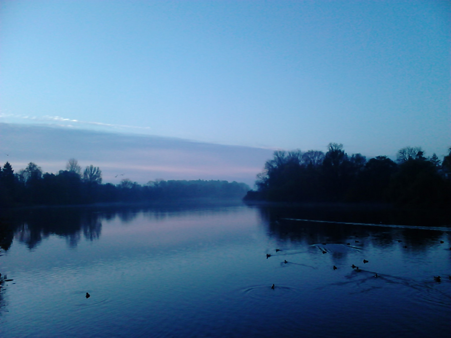 Morgens am See