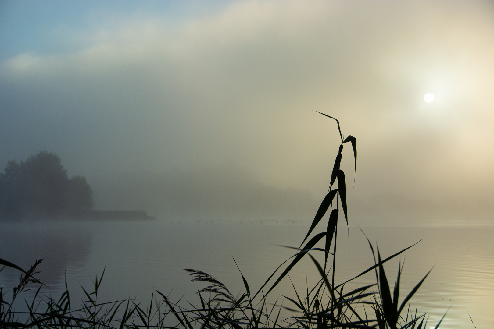 Morgens am See