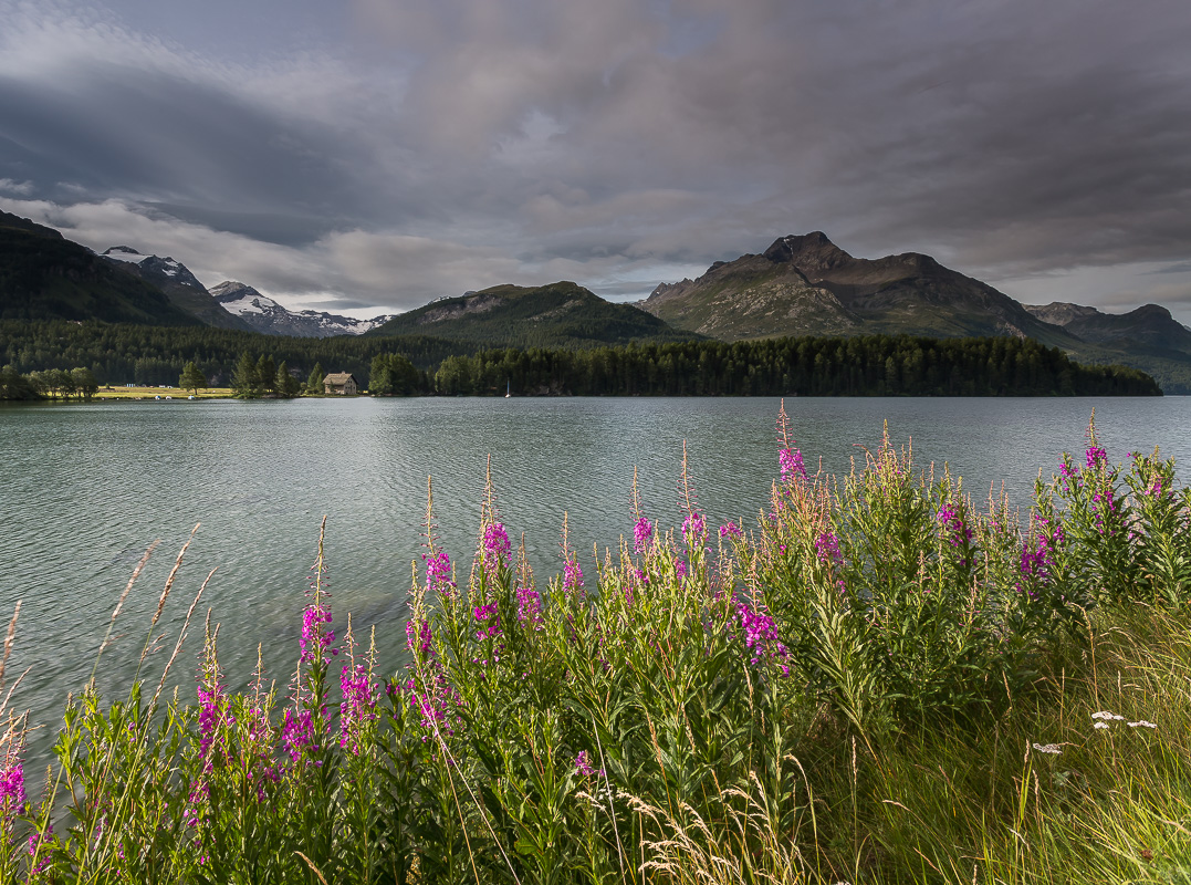 Morgens am See I