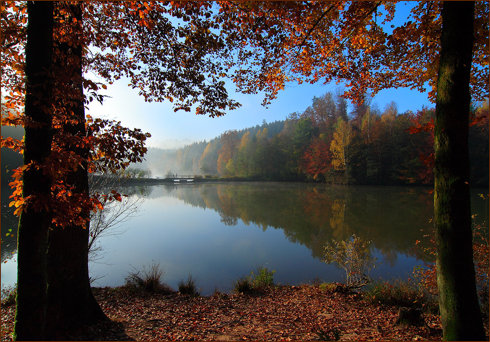 Morgens am See II