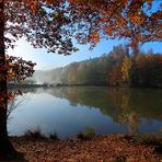 Morgens am See II