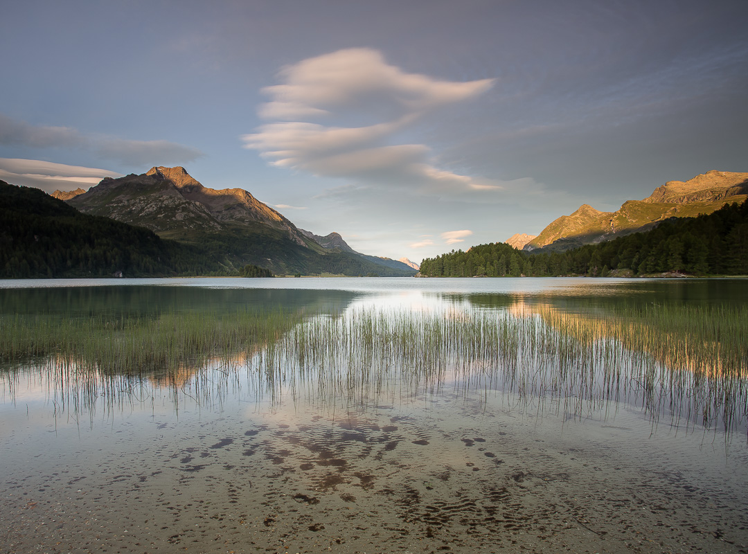 Morgens am See II