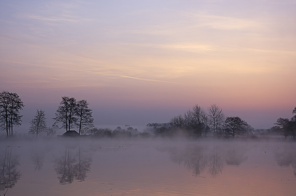 Morgens am See II