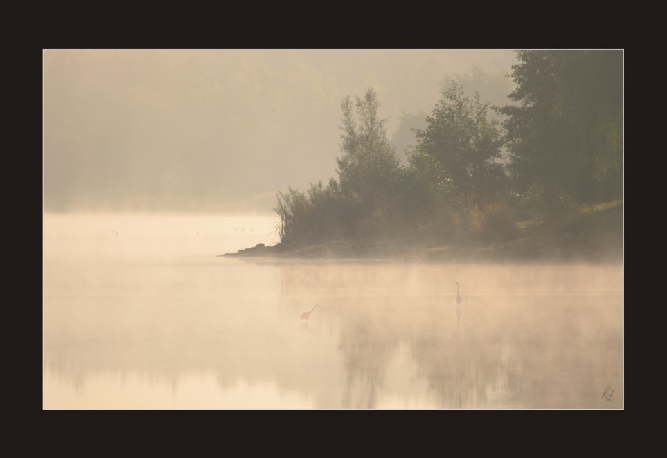 morgens am See II