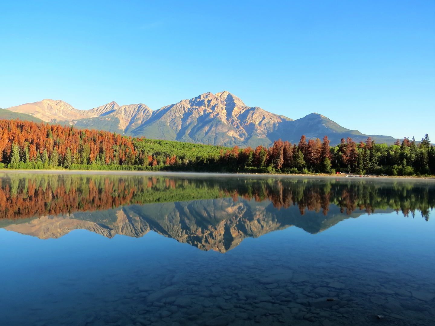 Morgens am See in Kanada